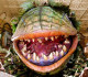 There's A Plant That Eats Human Tissue, Seriously - Giant Freakin Robot